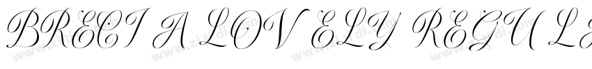 BRECIA LOVELY REGULA字体转换